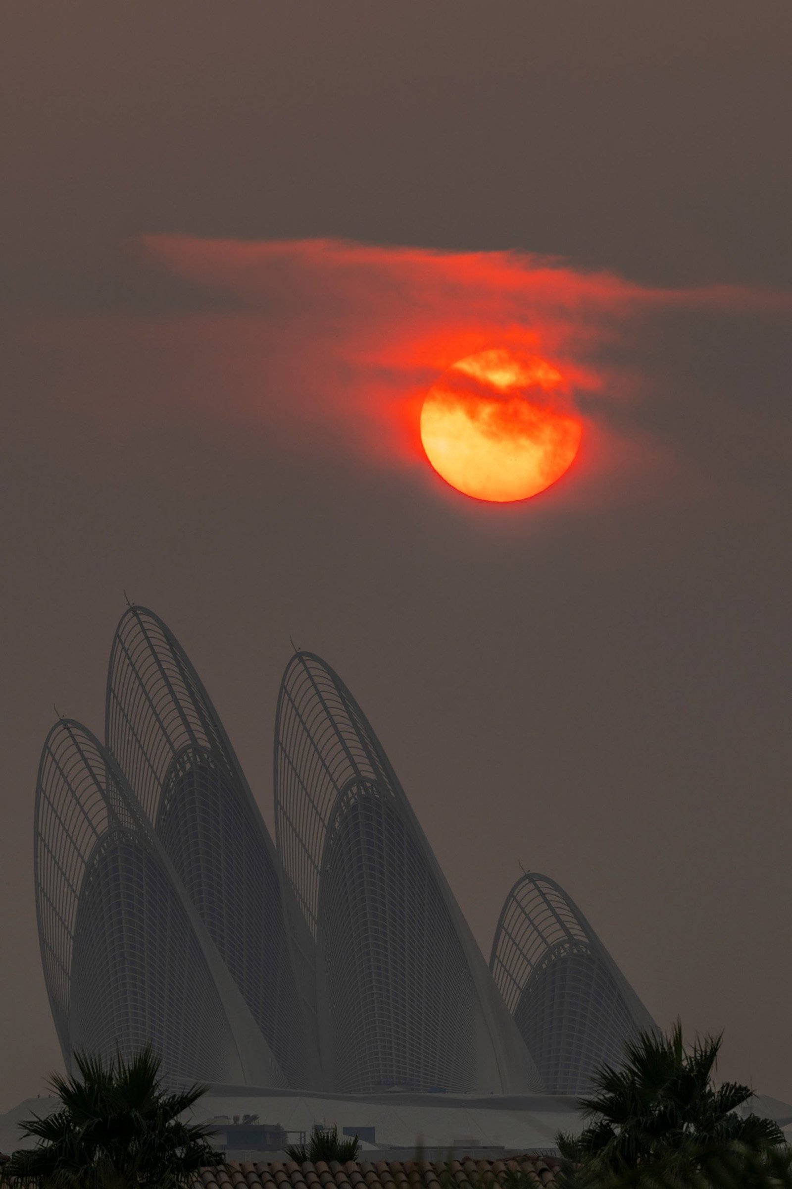Fotografija 12