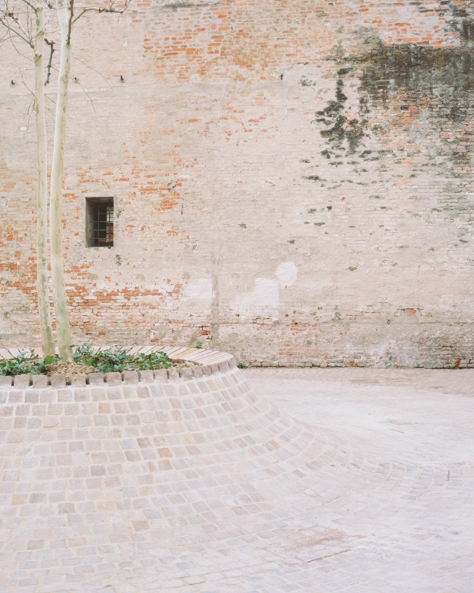 Piazza Cortevecchia